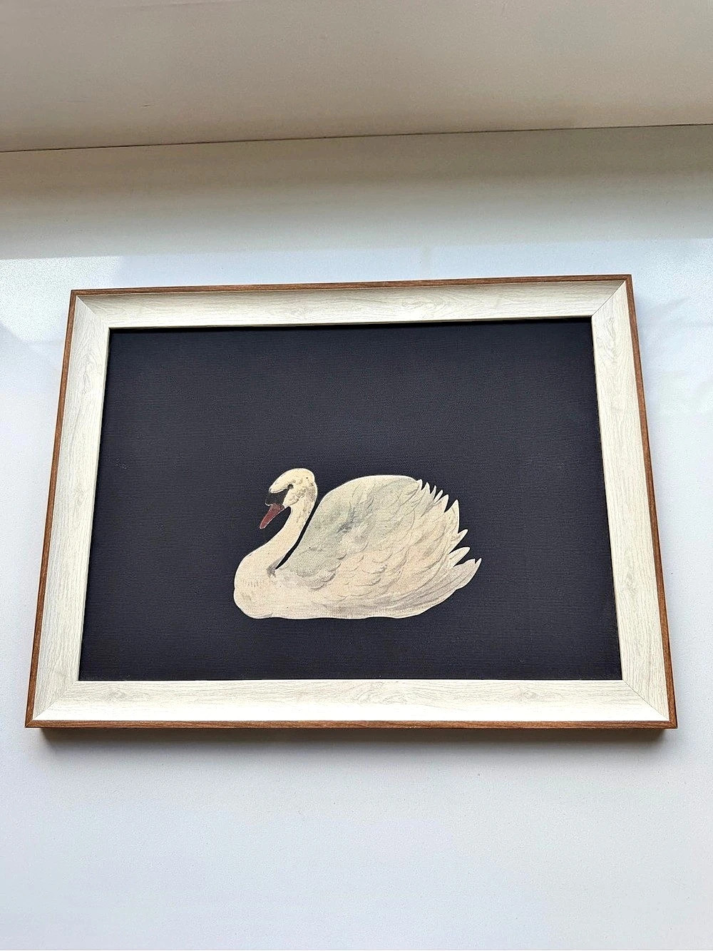 Framed Swan Wall Art in Black & White